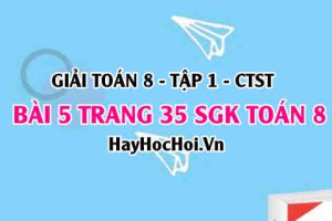 Giải bài 5 trang 35 Toán 8 Tập 1 SGK Chân trời sáng tạo